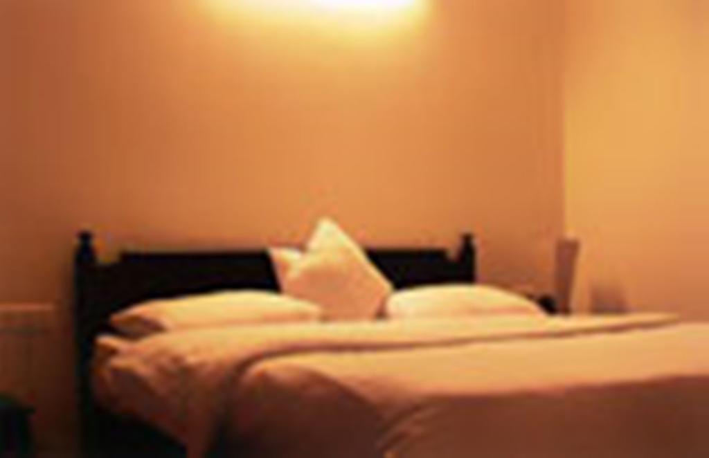 Hotel Langdale Manor à Nainital Chambre photo