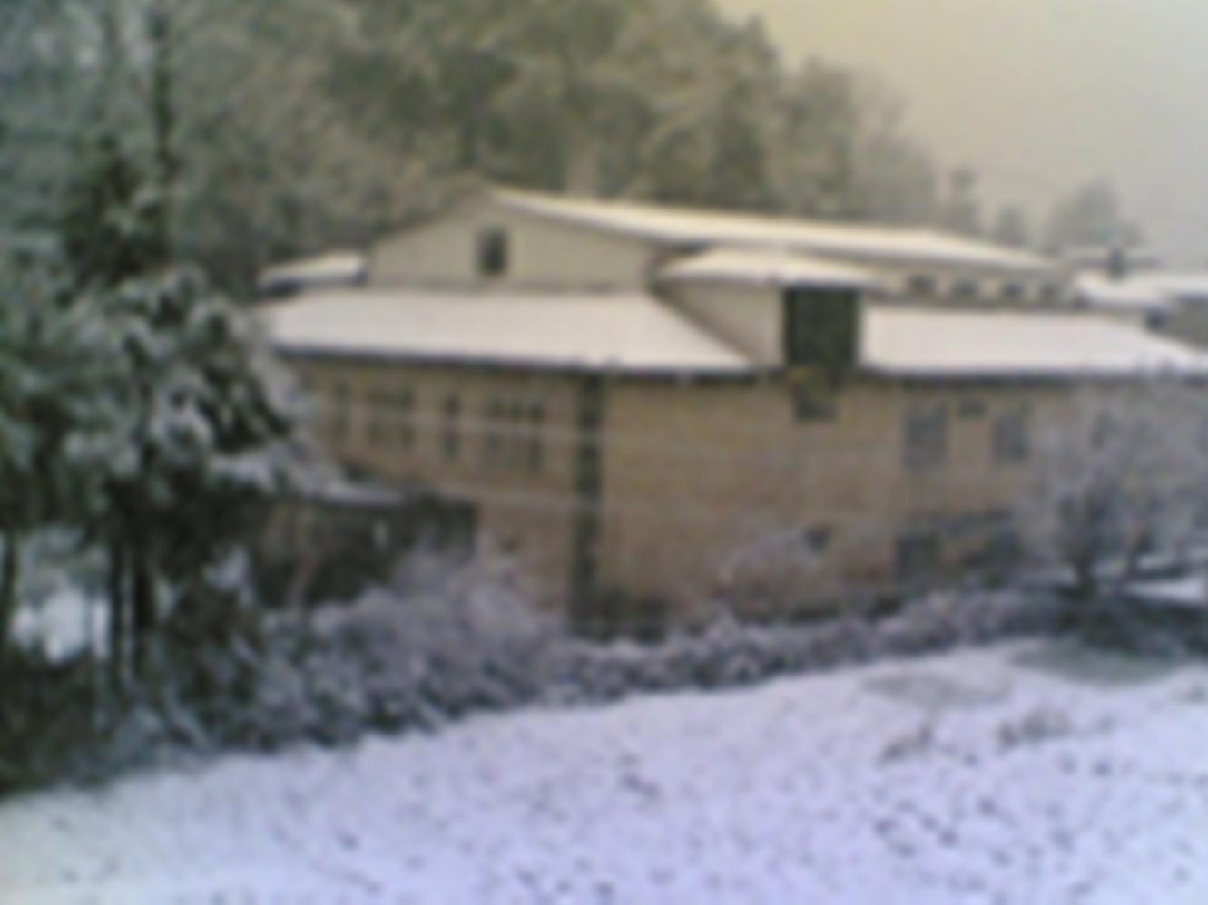 Hotel Langdale Manor à Nainital Extérieur photo